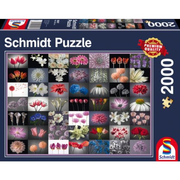Sestavljanka puzzle 2000 delna Schmidt Roze